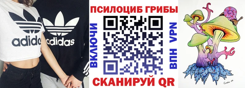 Купить где  Сарапул  Псилоцибиновые грибы GOLDEN TEACHER 